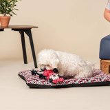 Hund Bed Minnie Mouse Rd #7
