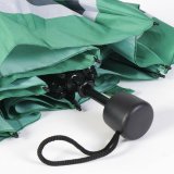 Foldbar Paraply Harry Potter Slytherin 53 cm #4