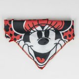 Welcome Gift Set for Dogs Minnie Mouse Rd 5 Dele #5