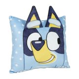 Pude Bluey #4