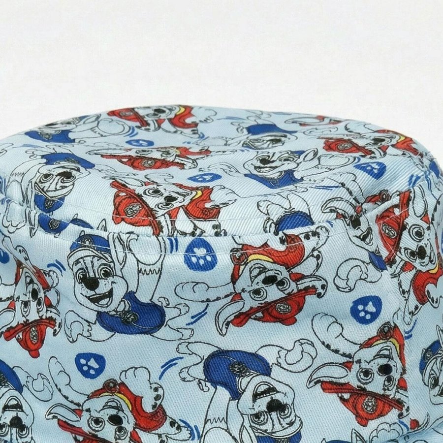 Hat The Paw Patrol #3