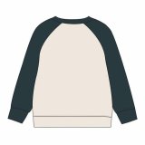 Sweaters uden Htte til Brn The Avengers Beige #2