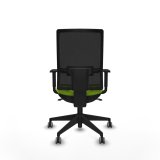 Kontorstol Piqueras y Crespo 1D066G0 Pistacie #5