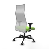 Kontorstol Piqueras y Crespo B1C036G Pistacie #6