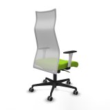 Kontorstol Piqueras y Crespo B1B036G Pistacie #6