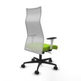 Kontorstol Piqueras y Crespo B1B036N Pistacie #6