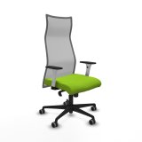 Kontorstol Piqueras y Crespo Albacete Pistacie #1