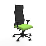 Kontorstol Albacete Piqueras y Crespo B1C036N Pistacie #1