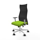 Kontorstol Piqueras y Crespo B1B026N Pistacie #2