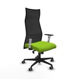 Kontorstol Piqueras y Crespo B1B036G Pistacie #1