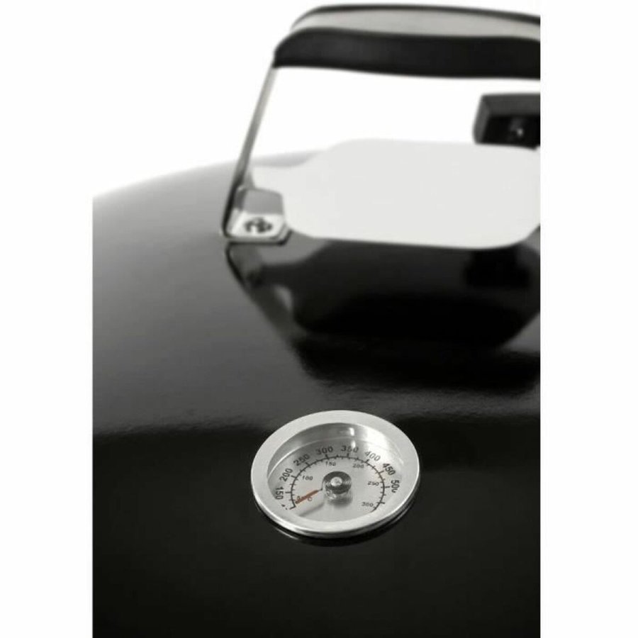 Havegrill Transportabel Fieldmann FZG 1016 Metal Stl #17