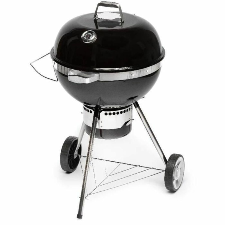 Havegrill Transportabel Fieldmann FZG 1017 Metal Stl #1