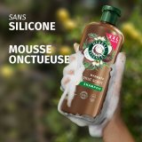 Fugtgivende shampoo Herbal Essences Coconut Scent #5