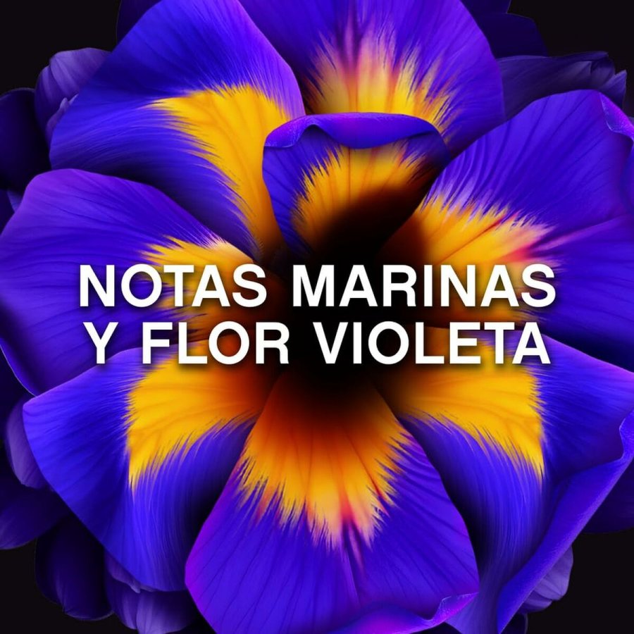 Tekstilbldgringsmiddel Lenor UNSTOPPABLES Violet 270 g #3