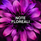 koncentreret skyllemiddel Lenor UNSTOPPABLES #4