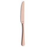 Bordkniv Amefa Austin 12 enheder Metal Kobber #1