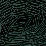 Afd�kningsnet Nature Gr�n #2