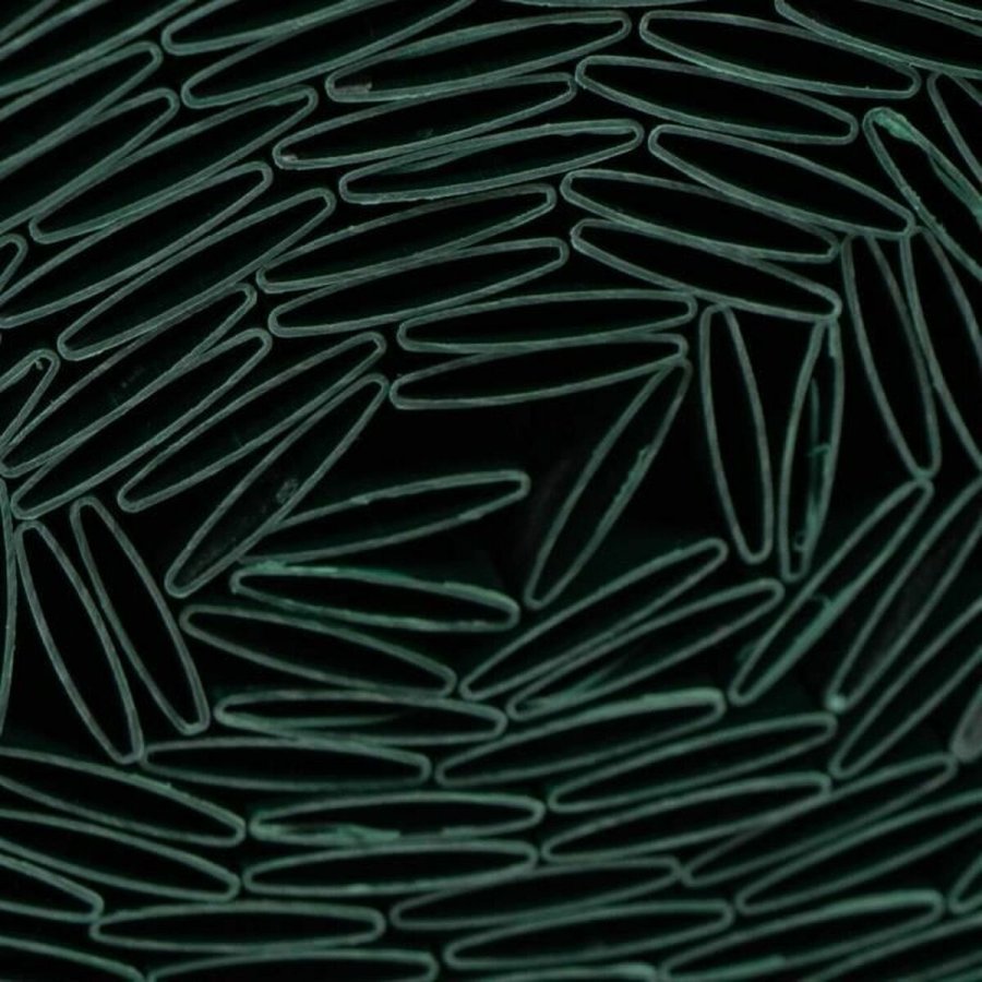 Afd�kningsnet Nature Gr�n #2