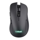 Trdls mus Trust GXT 923 YBAR #1