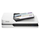 Scanner Epson B11B239401           LED 300 dpi LAN #1
