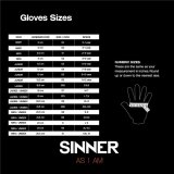 Skihandsker Sinner Phoenix Sort #2
