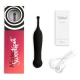 Massager FeelzToys Mister Sweetspot Sort #1