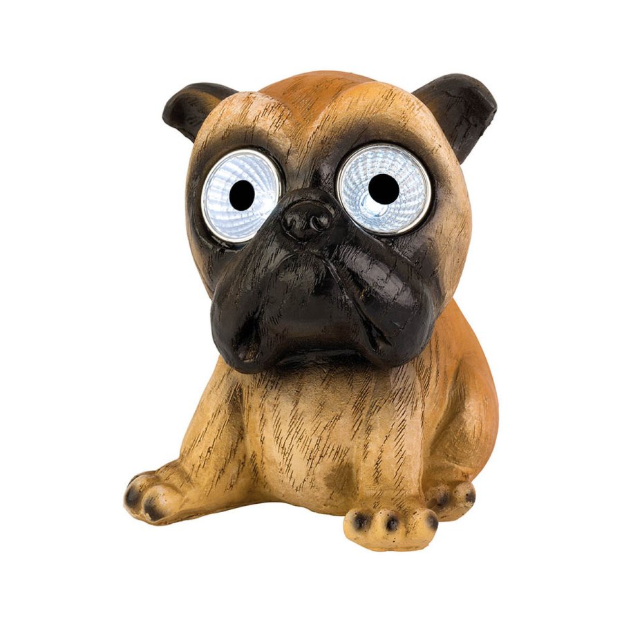 Sollys Lumineo Hvid Kold hvid Hund #4