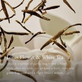 Bodylotion Rituals THE RITUAL OF KARMA 5 Dele #3