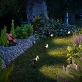 Lampe Philips Sort 12 V Varm hvid 600 lm (1 enheder) #3