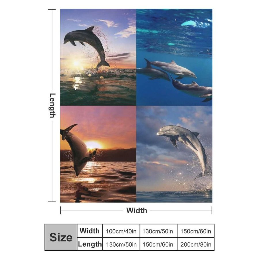 Grill Bourgini 161308 #1