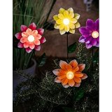Sollys Lumineo 11 x 6 x 49,5 cm Solar Blomst #4