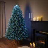 LED guirlande Lumineo #3