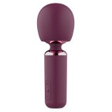 Rengring til erotisk legetj Dream Toys Glam Lilla #1