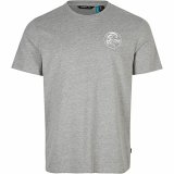 Kortrmet T-shirt til Mnd O'Neill Circle Surfer #1