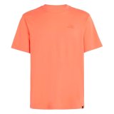 Kort�rmet T-shirt til M�nd O'Neill Small Logo Orange #1