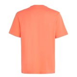 Kort�rmet T-shirt til M�nd O'Neill Small Logo Orange #2