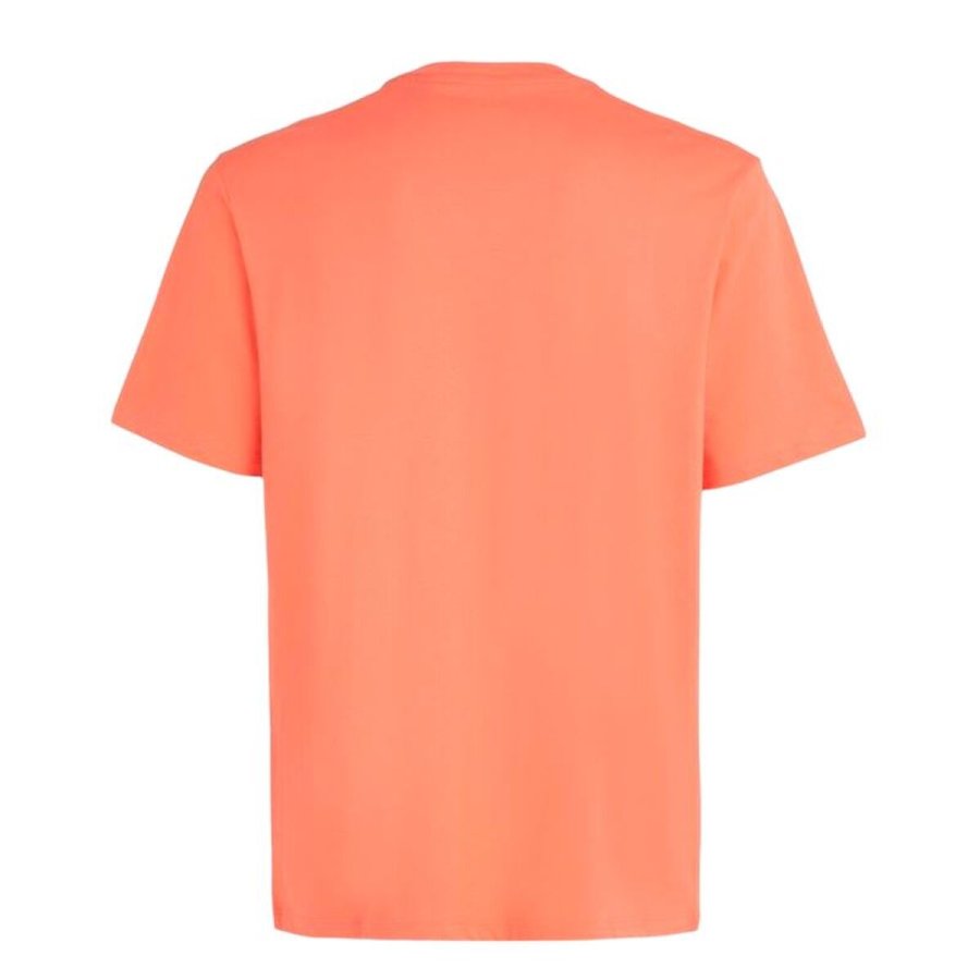 Kort�rmet T-shirt til M�nd O'Neill Small Logo Orange #2
