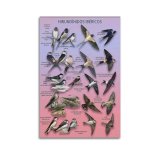 Skrm Samsung LS37D700EAUXEN 4K Ultra HD 37