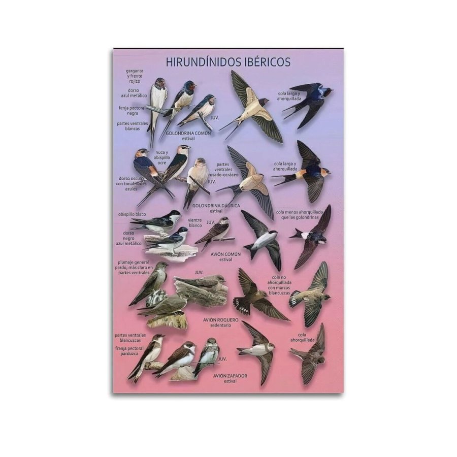 Skrm Samsung LS37D700EAUXEN 4K Ultra HD 37