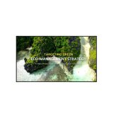 Videov�g Monitor LG 65UL3Q-E.AEU 4K Ultra HD 65