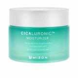 Ansigtscreme Mizon Cicaluronic 120 ml #1