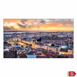 Videovg Monitor Samsung VH55C-E Full HD 55