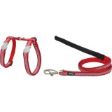 Hundesele Red Dingo Union Jack 21-35 cm Rd #1
