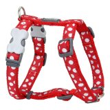 Hundesele Red Dingo Style Rd Mol 30-48 cm #1