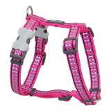 Hundesele Red Dingo Fuchsia Ben Reflekterende 37-61 cm #1