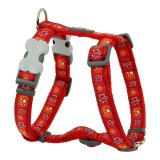 Hundesele Red Dingo Style Rd 37-61 cm #1