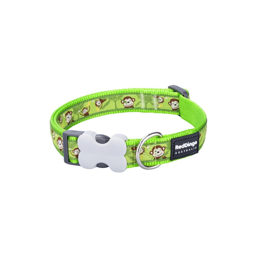 Hundehalsbnd Red Dingo STYLE MONKEY LIME GREEN 15 mm x 24-36 cm #1