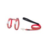 Hundesele Red Dingo Rainbow 21-35 cm Rd Multifarvet #1