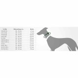 Hundehalsbnd Hunter Sort #2