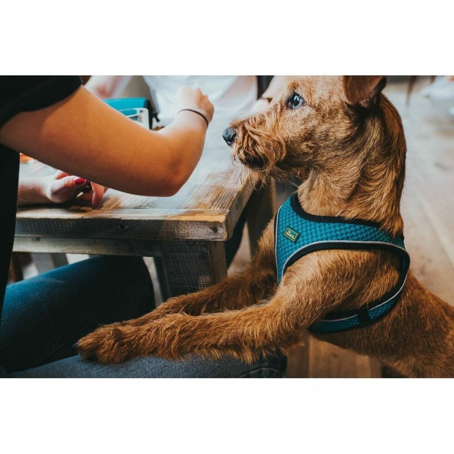 Hundesele Hunter Sort 37-42 cm Antracit XS/S #2